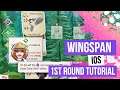 Wingspan on iOS 1st Round Tutorial - Strategy Game About Birds