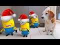 Funny Dogs vs Minion in REAL LIFE Animation Christmas Compilation! Must see! #7