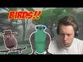 IS THAT BIRD SKATEBOARDING?! (2 Random Games)