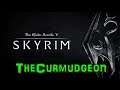 Skyrim: The Elder Scroll V