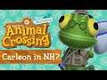 5 DINGE die DU noch NICHT WUSSTEST! 😮 in Animal Crossing New Horizons 🌴