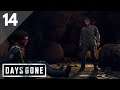 DAYS GONE - Gameplay Walkthrough - PART 14 - LEAVE ALL THAT BY THE DOOR - I'VE HAD BETTER DAYS