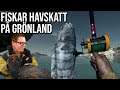 FISKAR HAVSKATT PÅ GRÖNLAND | Ultimate fishing simulator