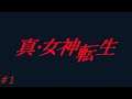 Let's Play Shin Megami Tensei (Blind) Part 1 - Three Heroes