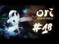 BLOQUEADA | Ori and The Blind Forest | PARTE 18