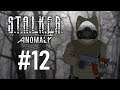 Fidchell streams STALKER Anomaly 1.5.1 - Part 12: ROGUE AND LABORATORY X8