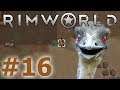 RimWorld - The First Hunt - Episode 16