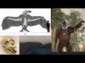 Bigfoot And Thunder Birds Are Real With Proof