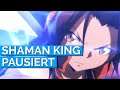 SHAMAN KING pausiert | MAGI RECORD Staffel 2 | Strike Witches | ANIFLASH LITE #107 | Anime News