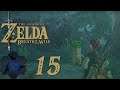 The Trials of the Lost Woods - LoZ: Breath of the Wild - Part 15