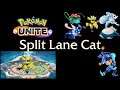 Weak Lane, Strong Lane - Jungle Zeraora - Pokemon Unite