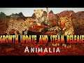 Animalia Premieres on Steam | New Update w/ Rhino and Community Servers!