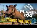 ¡EL CERDITO VALIENTE! PLANET ZOO - Gameplay en Español