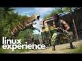 Far Cry 3 - Performance and Installation | Linux Experience