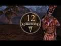 Tribal Relations - Let's Play Morrowind - 12 [Blind - Modded]