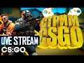 Стрим CS:GO С ПОДПИСЧИКАМИ ➤ кс го стрим с вебкой Lesin PLAY