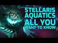 Stellaris Aquatics Species Pack DLC, 3.2. Herbert Patch – Preview Overview – All Patch Notes