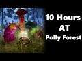 10 Hours AT Polly Forest :Black Desert Online