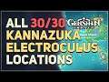 All 30 Kannazuka Electroculus Locations Genshin Impact