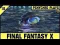Final Fantasy X #18 - Welcome to the Calm Lands!