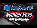 Number Keys not Working in Windows 10 [2023]