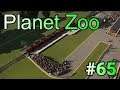 実況 動物観察の刑に処す！「Planet Zoo」#65