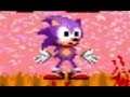 Sonic 1 Burned Edition (Sonic Hack)
