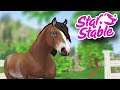BUYING THE NEW FINNHORSE FROM THE APP - Star Stable