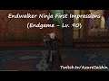 Endwalker Ninja First Impressions (Endgame - Lv. 90)