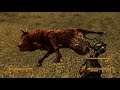 Fallout New Vegas pt 76  boomers