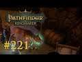 Let's Play Pathfinder: Kingmaker #221 – Die Truhe (Blind / Deutsch)