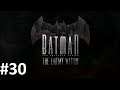 Let's Play The Batman #30 - Eine Bande voller Freaks [HD][Ryo]
