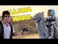 Llama Wars