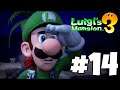 Luigi's Mansion 3 Gameplay Walkthrough Part 14 - THE TWISTED SUITES!