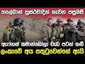 ඇෆ්ගන් කොමාන්ඩෝලා වැඩ පටන් ගනී | Panjshir Latest Update in Sinhala |