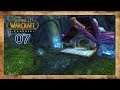 Warsong Gulch | WOW CLASSIC Gameplay Walkthrough #7 Night Elf Druid Leveling (No Commentary)