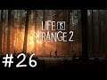 Life is Strange 2 [E04 - Faith] #26 🎧 Durch die Wüste