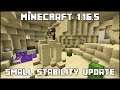 Minecraft 1.16.5 - Small Stability Update - Creating a Desert Cave!