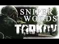 The Sniper Woods - Escape From Tarkov - Playthrough Series - Episode 4