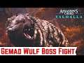 ASSASSINS CREED VALHALLA Gameplay - Gemad Wulf Boss Fight | Gemad Wulf Legendary Animals Location