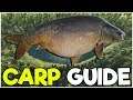 CARP Fishing Guide! - Fishing Planet Tips