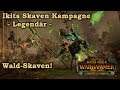 Ikits Skaven Kampagne - Wald-Skaven - Total War: Warhammer 2 deutsch 37