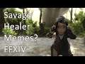 Savage Healer Memes - FFXIV