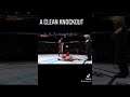 A clean knockout! (UFC 4)