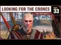 LOOKING FOR THE CRONES - The Witcher 3 - PART 33