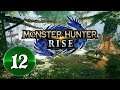 Monster Hunter Rise -- STREAM 12 -- Playing with Viewers