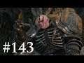 The Witcher 3: The Wild Hunt \ Part 143 / Imlerith and the Crones