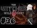 The Witcher 3: Wild Hunt: Ep 36: First Try