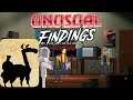 Unusual Findings - Developer Interview