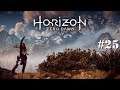 Horizon Zero Dawn | FR | Let's play | #25 Je lui ai brisé le coeur